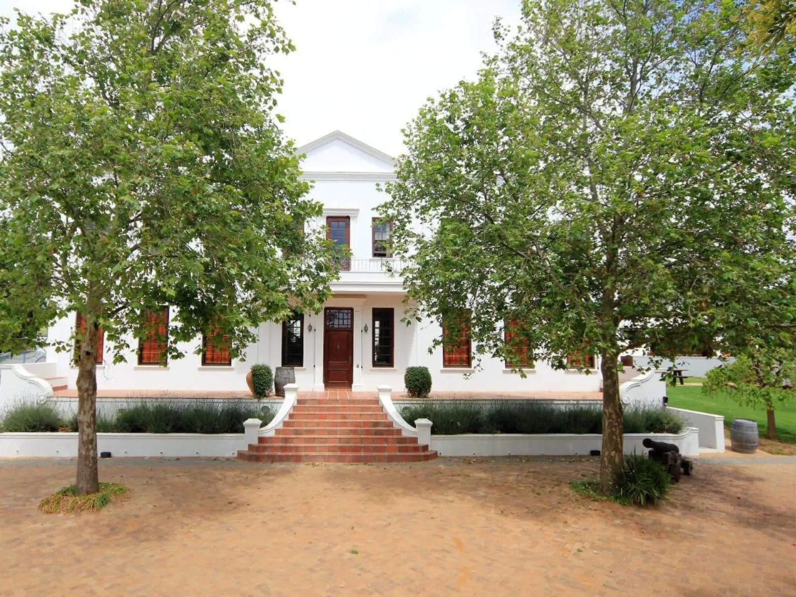 A whitewashed Cape Dutch manor house framed by trees at a Stellenbosch wine estate