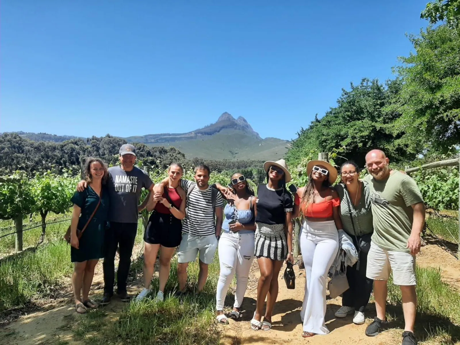A tour group standing among the vine rows below the Stellenbosch mountains