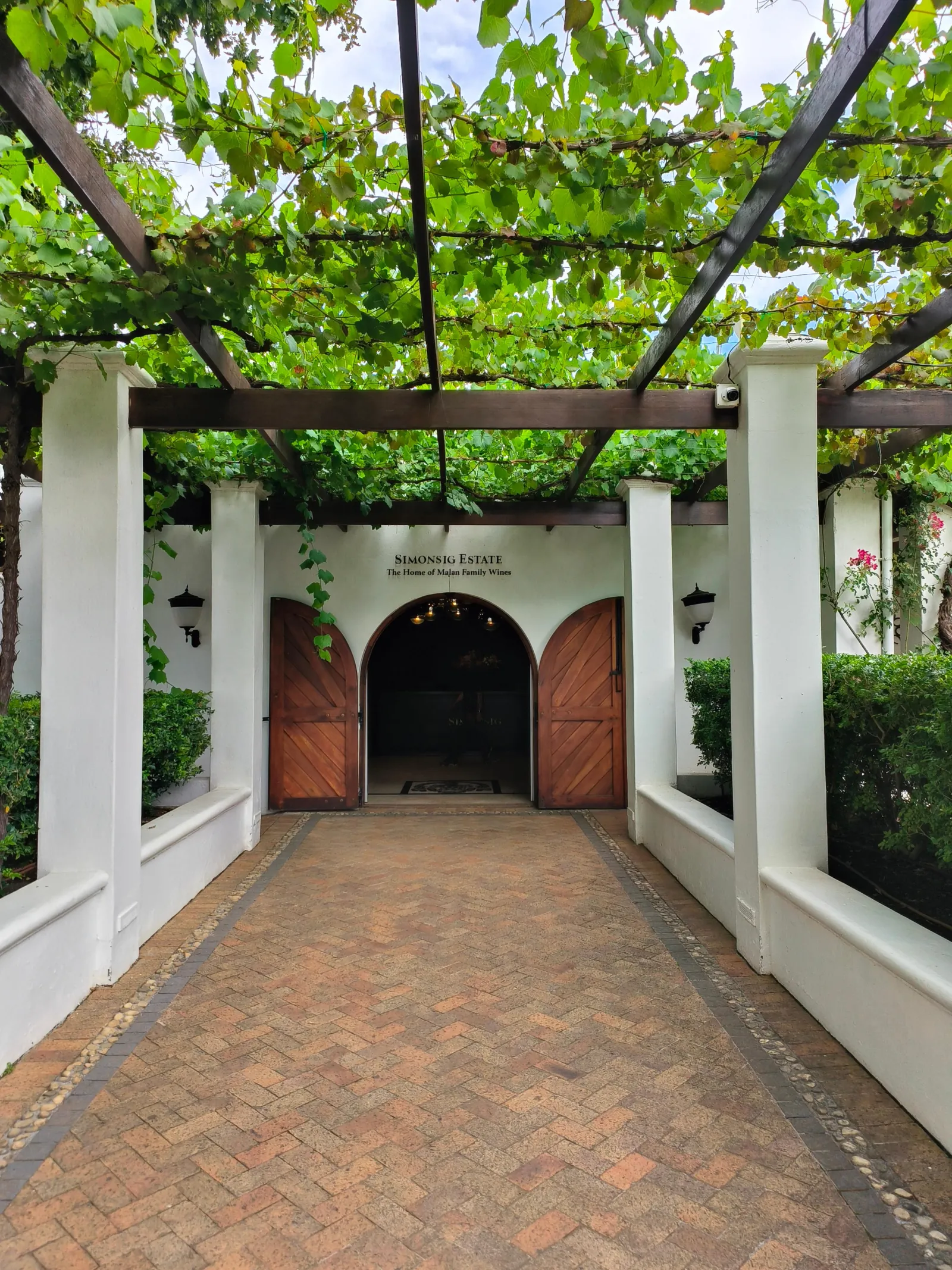 A vine-covered pergola walkway leading to the cellar door of a wine estate